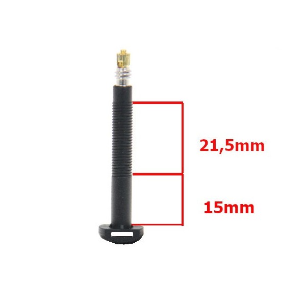 Par de válvulas Presta Tubeless de carbono - 45 mm
