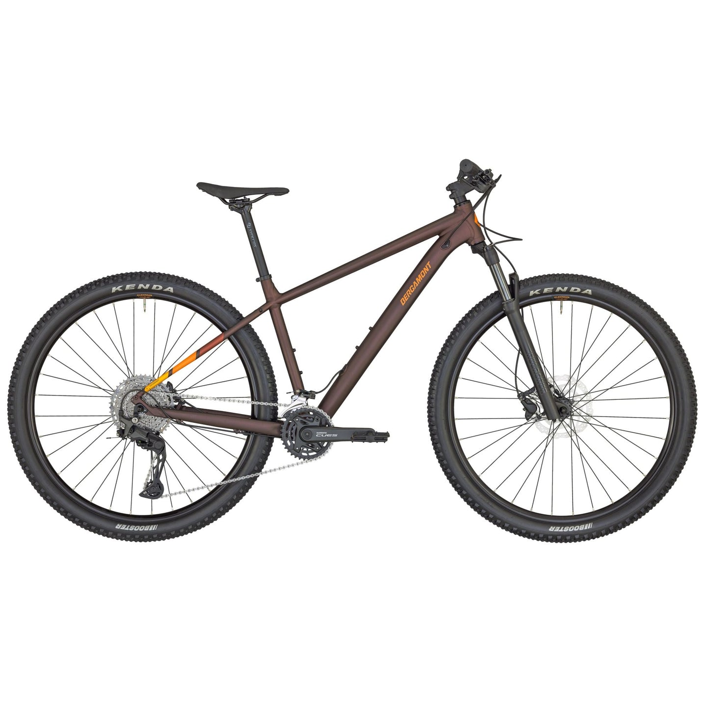 Bergamont Revox 7 2025