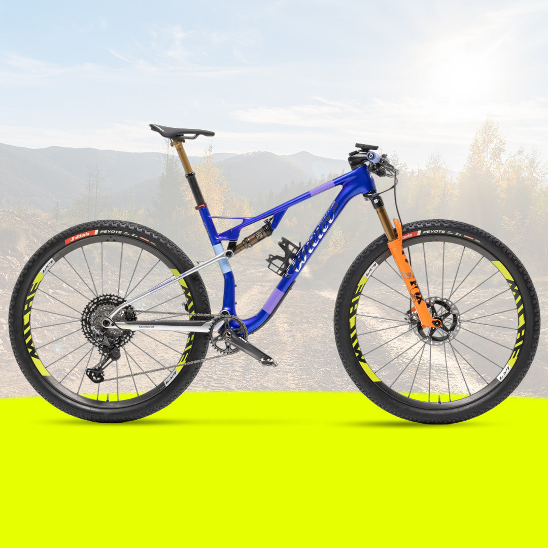 Biciclette MTB