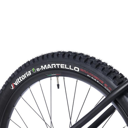 Fantic Xf2 Integlio