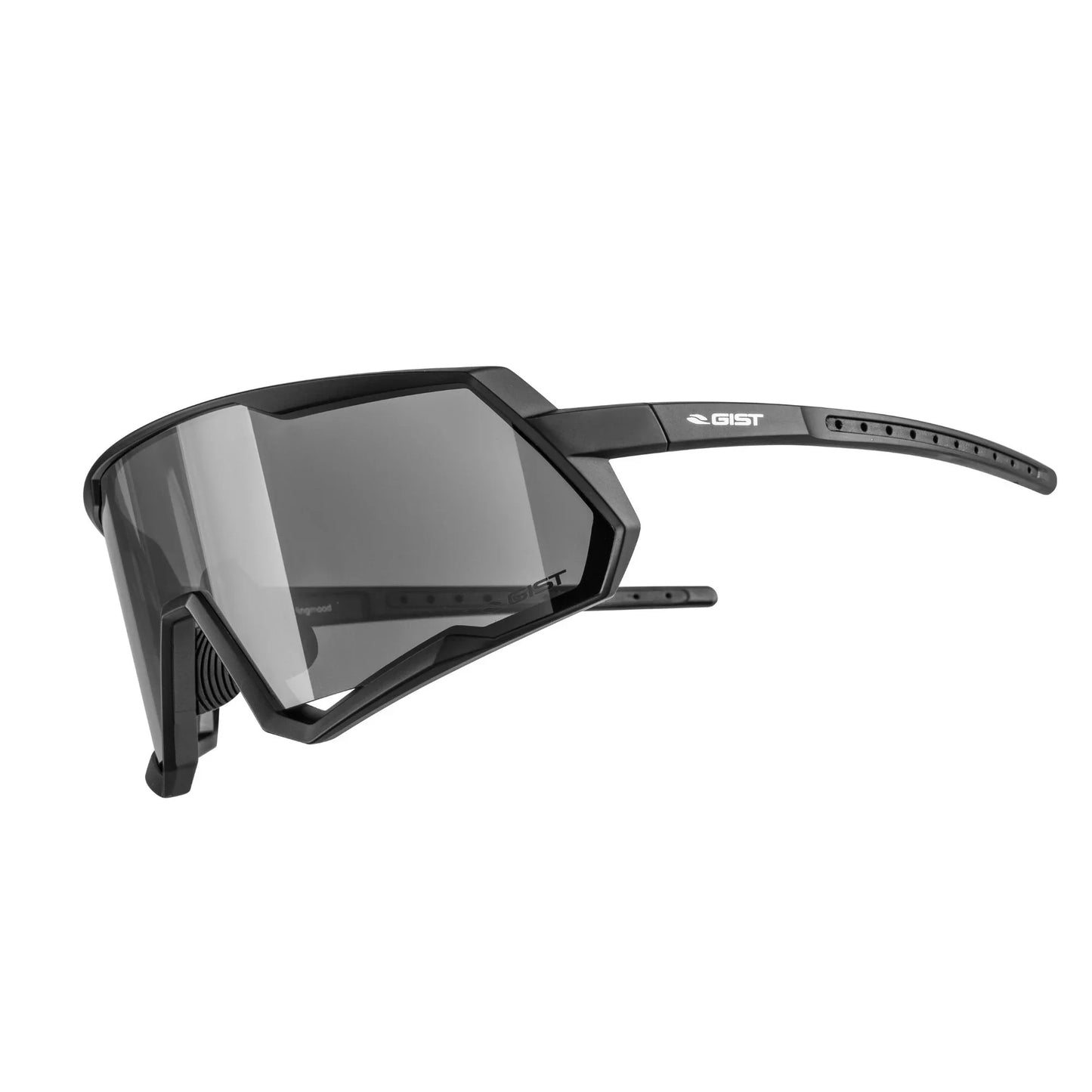 Gafas de máscara Gist