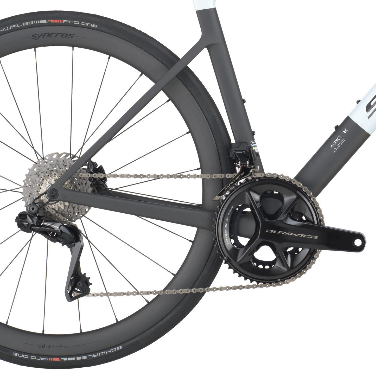 Scott Dodaj RC Pro 2025