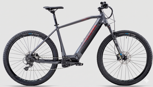 E-MTB Bottecchia BE50 Hydron 29 - Oli 900Wh