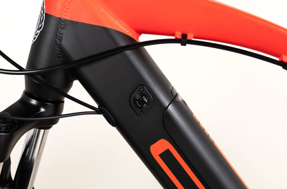 COPPI Maverick 29"