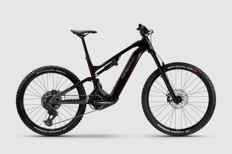 Haibike ALLMTN CF 9
