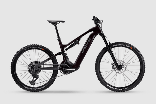 Haibike ALLMTN CF 9