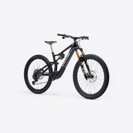 AMFLOW PL Carbon Pro (800wh)