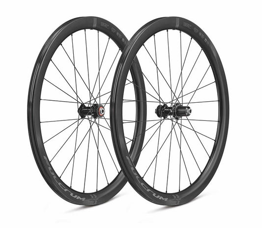 Viento de Fulcrum 42 DB C23 Ruedas