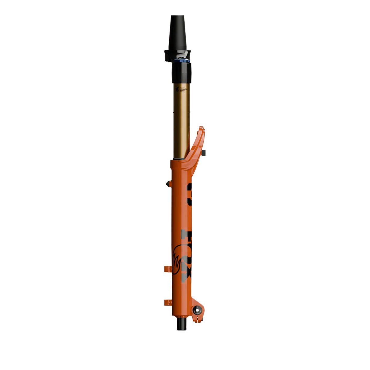 Agarre Fox 36 Float Factory Kashima